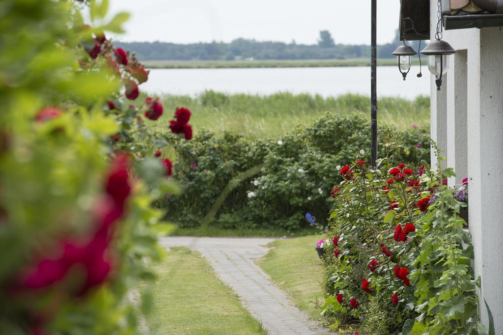 Guest house Deichgraf Middelhagen